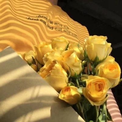 2023澳门资料大全正版